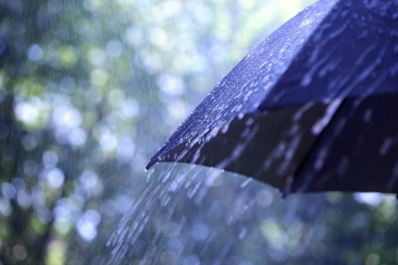 Alan Newcomb’s Case for Umbrella Insurance